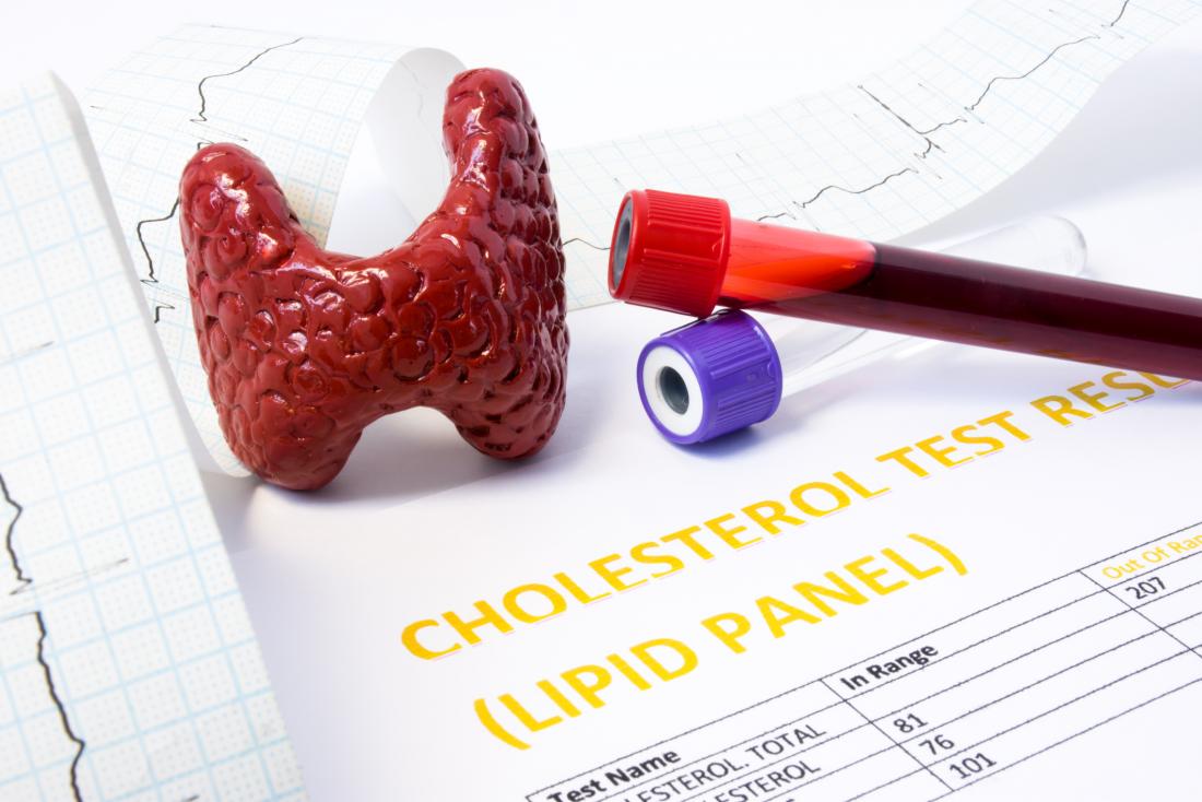 Thyroid gland and cholesterol