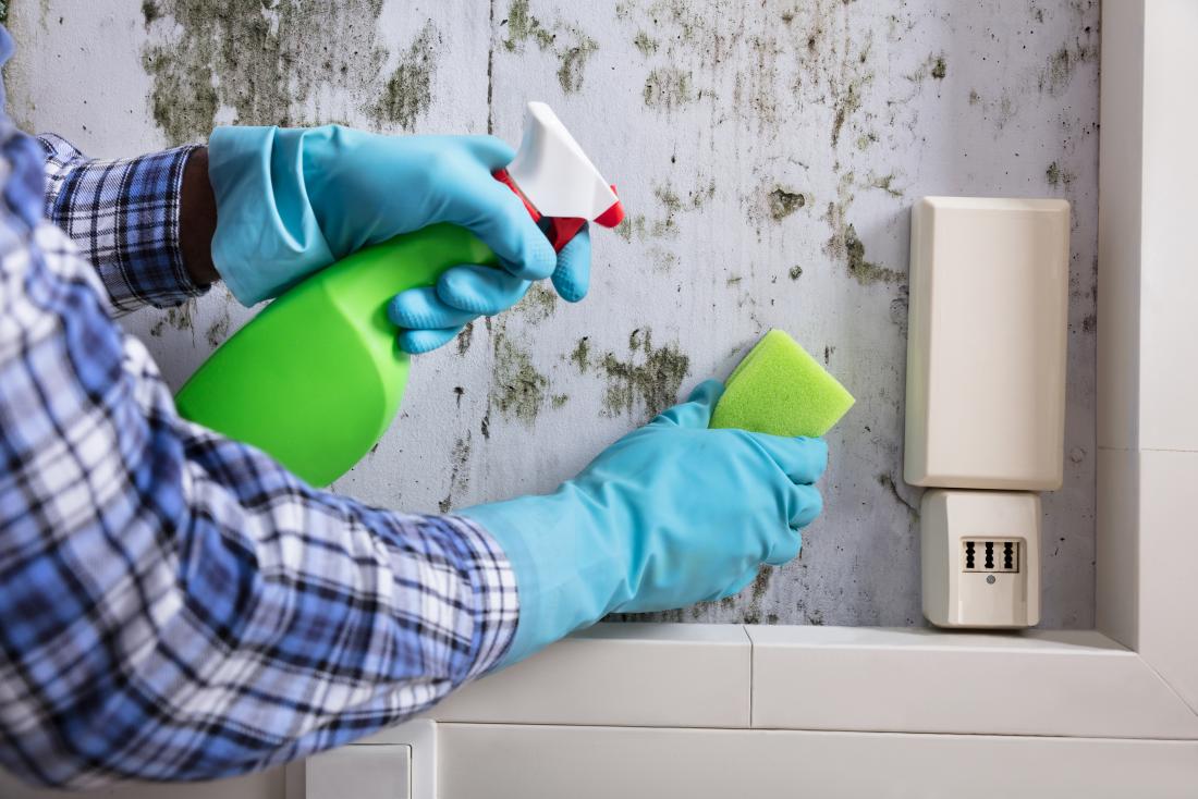 Cleaning black mold from a wall