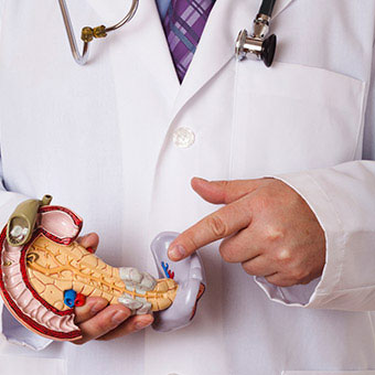 A doctor points to a model of the pancreas.