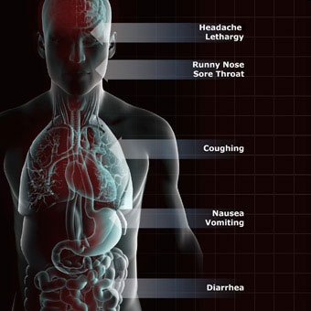 An illustration showing visual symptoms of upper respiratory infection.