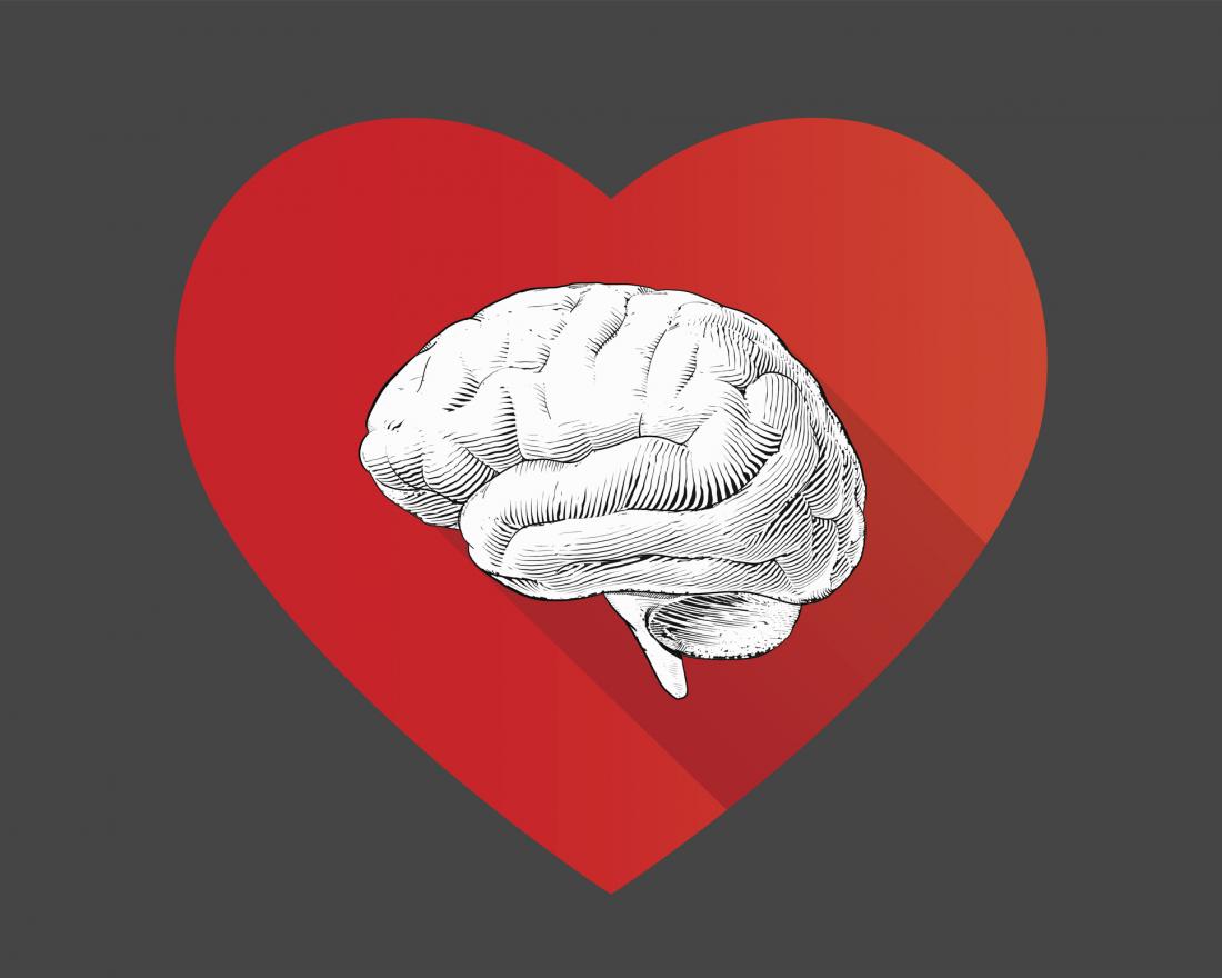illustration of brain and heart