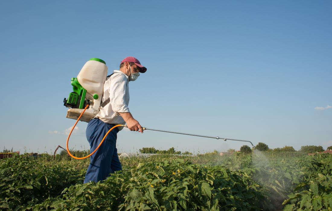 Pesticides may increase the risk of PD