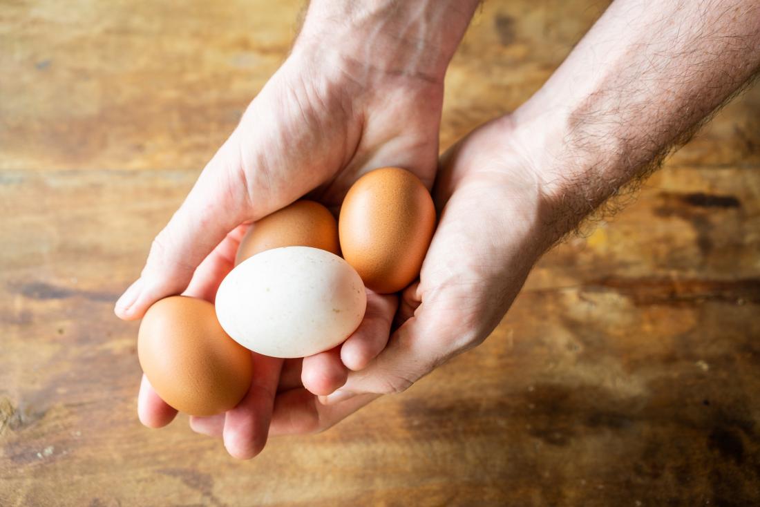 Eggs in a mans hand