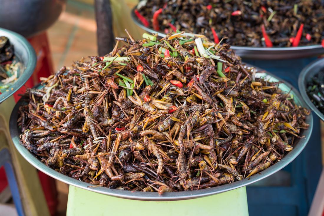 large bowl of fried edible insects