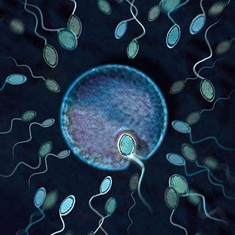 Some birth control methods stop sperm from reaching the egg, preventing fertilization.