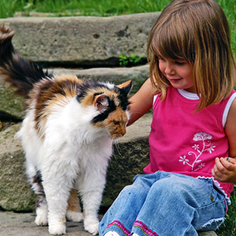 A girl plays with a stray cat.