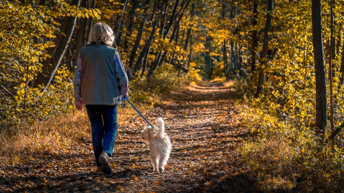 senior woman walking her dog