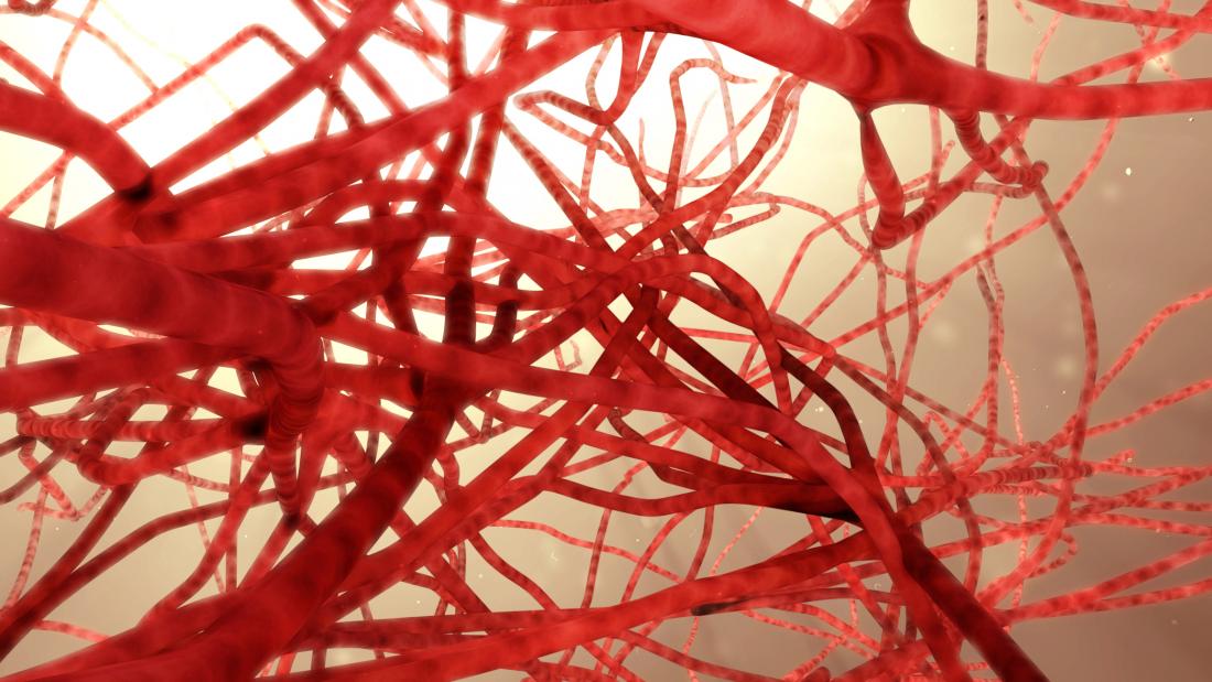illustration of blood vessels