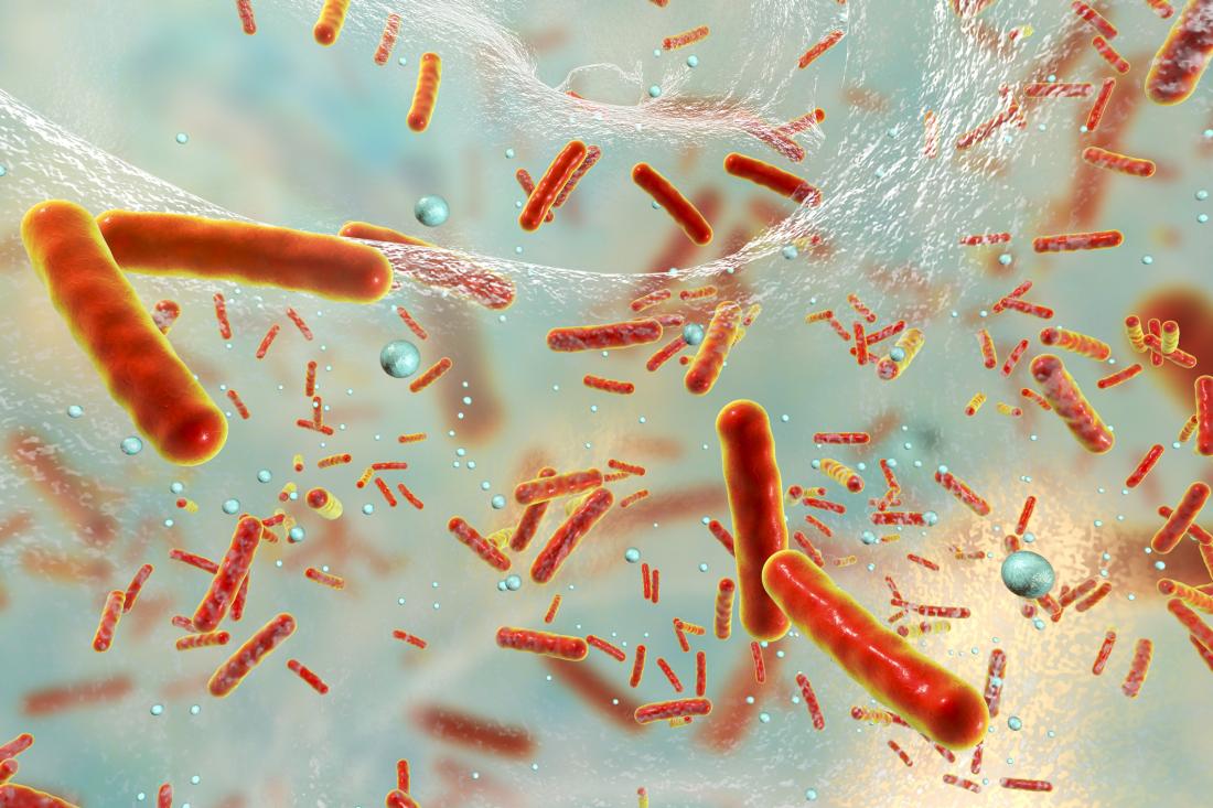 bacteria on biofilm