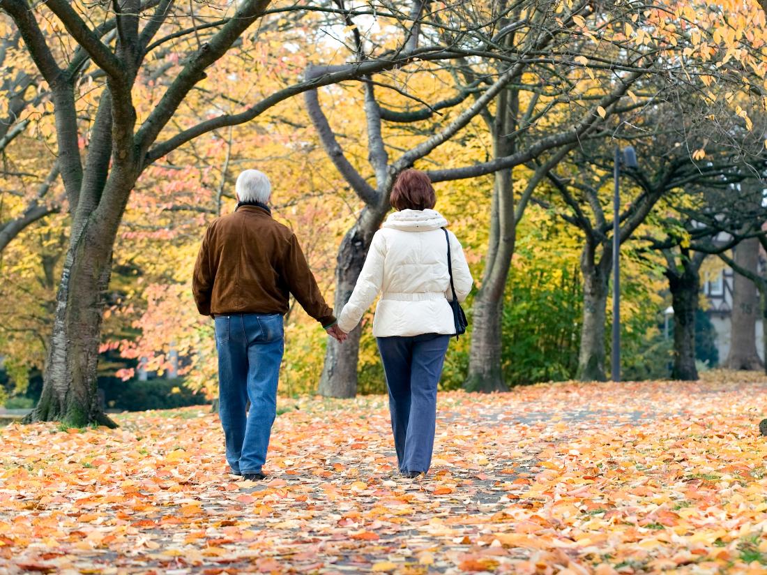 a couple going for a walk through a leafy park. 