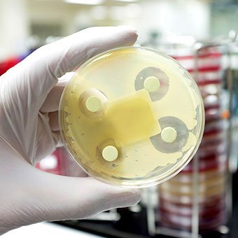 A lab test of antibiotic tablets and resistant bacteria inside a petri dish.
