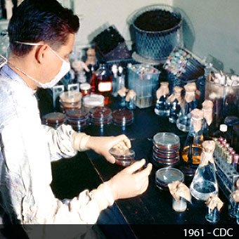 A 1961 technologist works in a lab and examines petri dishes.