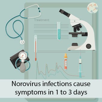 Norovirus infections cause symptoms in one to three days.