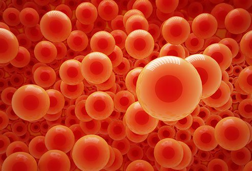 Hemoglobin is the iron-based molecule type that gives blood its red color and ferries oxygen to the rest of the body.