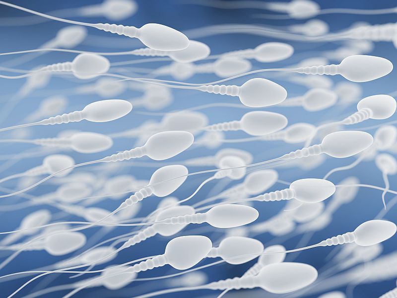News Picture: Can Men Dine Their Way to Higher Sperm Counts?