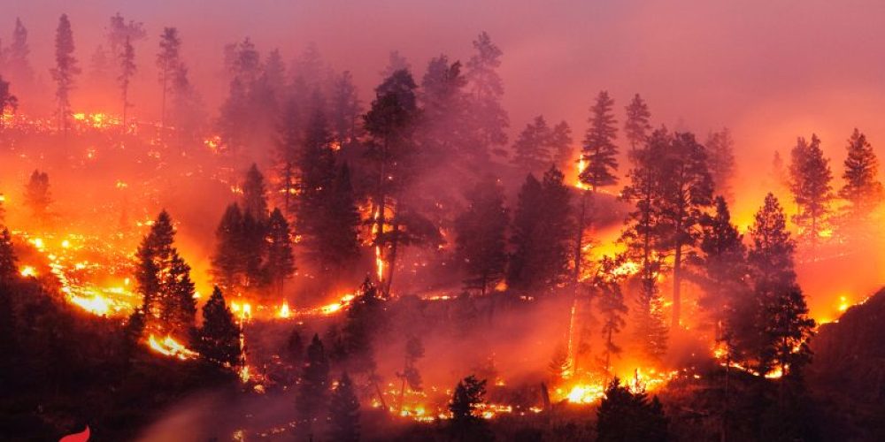 AHA News: Where There&#8217;s Wildfire Smoke, There May Be Heart Problems