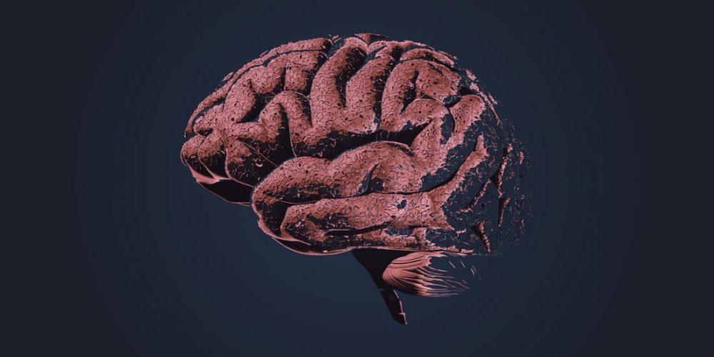 Alzheimer&#8217;s: What leads to brain cell damage?