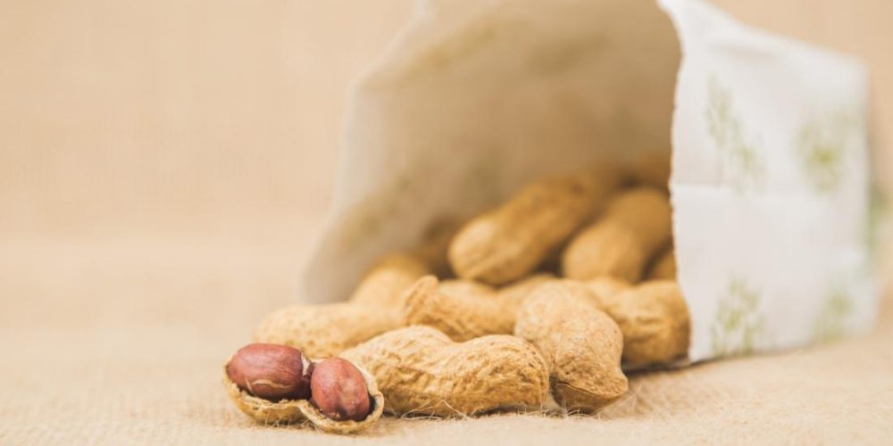 &#8216;Breakthrough&#8217; treatment for peanut allergy awaits FDA check