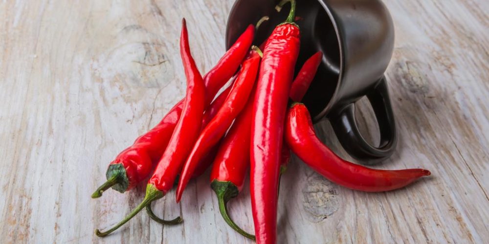 Chili pepper compound may slow down lung cancer
