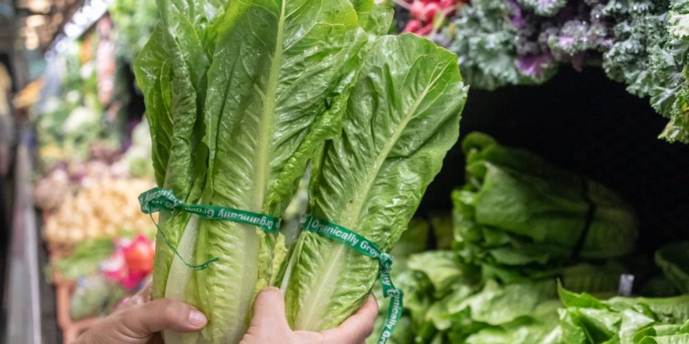 E. coli outbreak: CDC warn about romaine lettuce from Salinas, CA