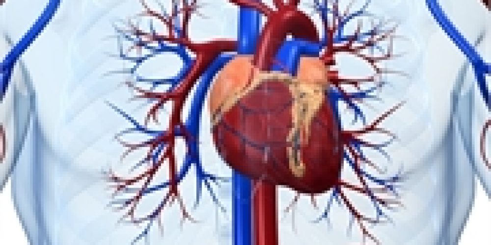 Fasting Diet Could Benefit Heart Health: Study