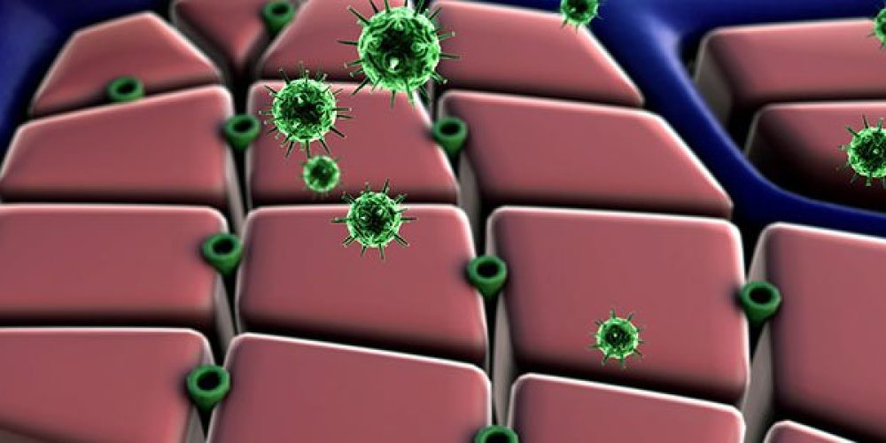 Is Hepatitis C Contagious?