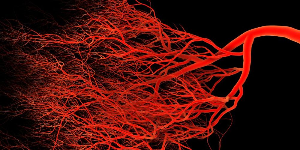 Leaky blood vessels may trigger Alzheimer&#8217;s