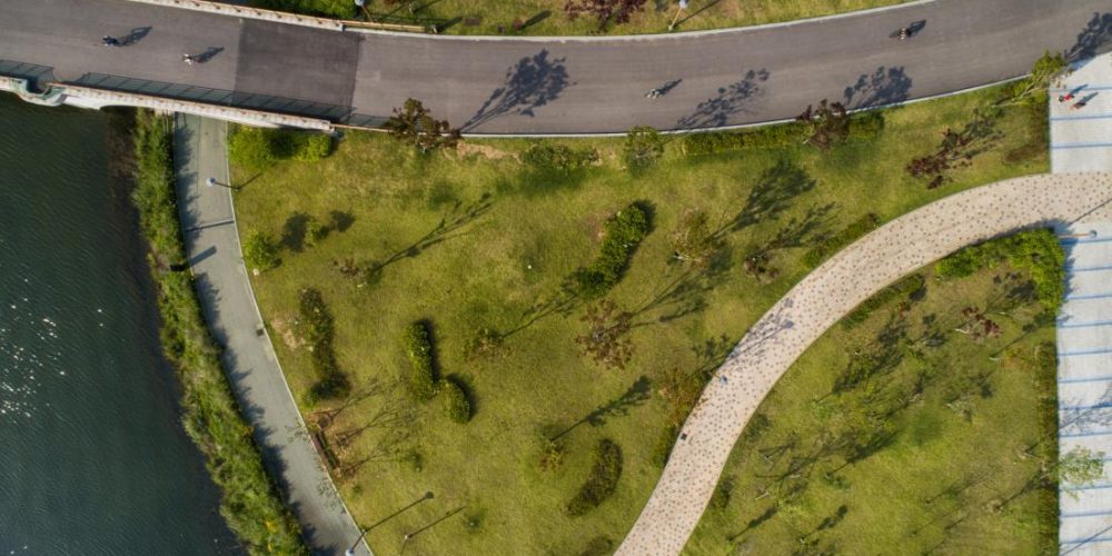 Parks with irregular shapes may boost longevity