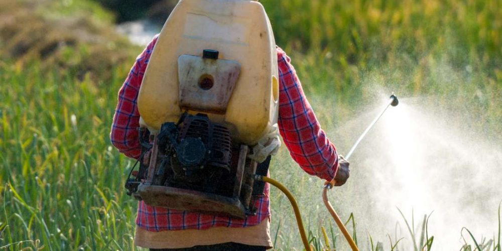 Are pesticides in food harmful?