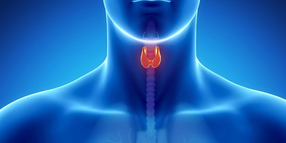 Cancer Risk Rises After Iodine Rx for Overactive Thyroid: Study
