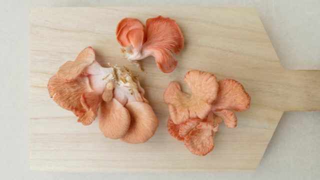 Does eating mushrooms protect brain health?