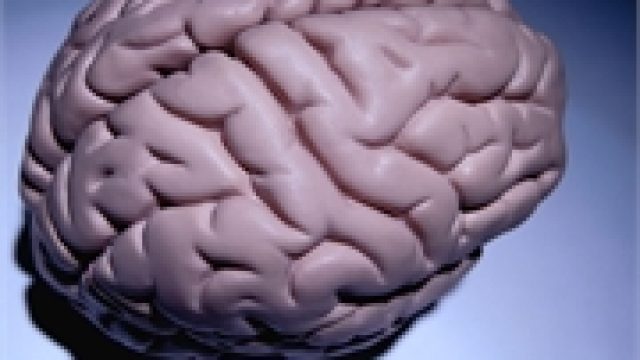 More Doubt That Plaques in the Brain Cause Alzheimer’s