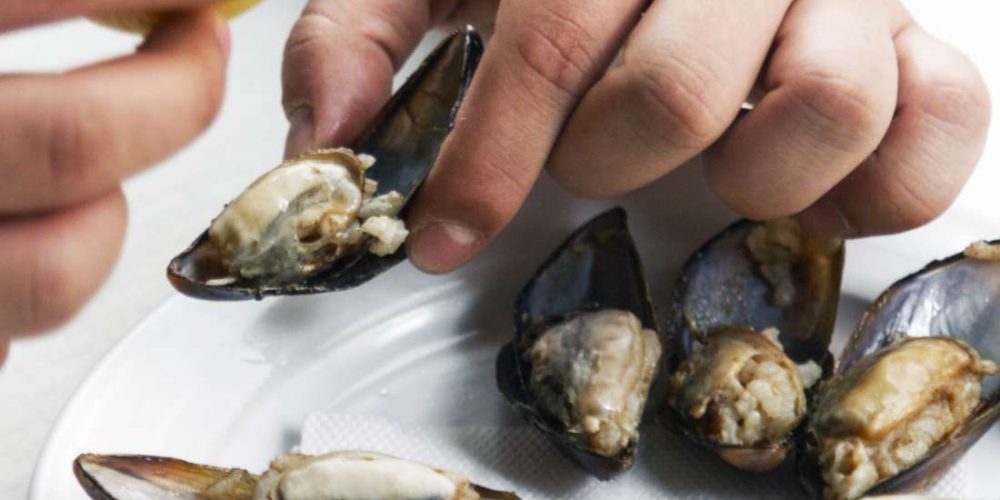 What to know about shellfish allergies