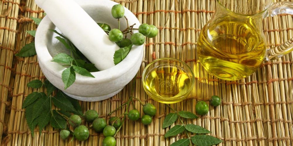 What are the benefits of neem?