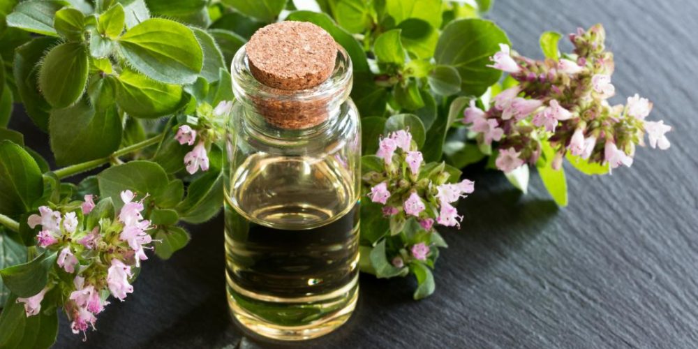 What are the benefits of oregano oil?