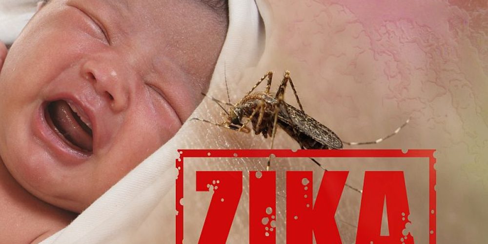 Zika&#8217;s Damage Continues in Children Infected Before Birth