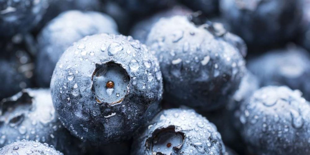 A guide to antioxidant foods