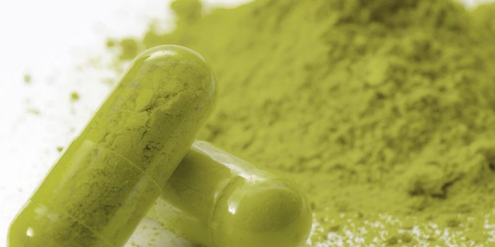 Another Study Casts Doubt on Safety of Herbal Drug Kratom