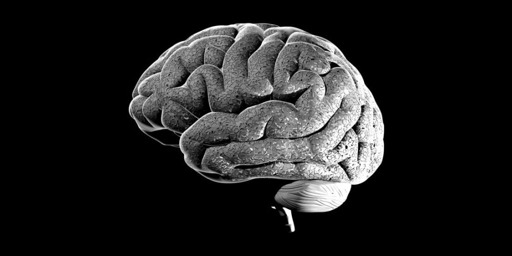 Brain structure may play key role in psychosis