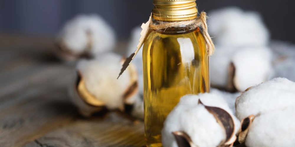 Can cottonseed oil help lower your &#8216;bad&#8217; cholesterol?