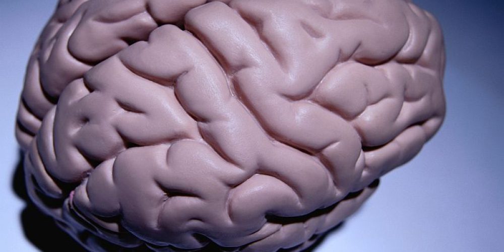 Can Obesity Shrink Your Brain?