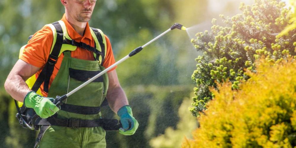 Common pesticide linked to increased mortality risk