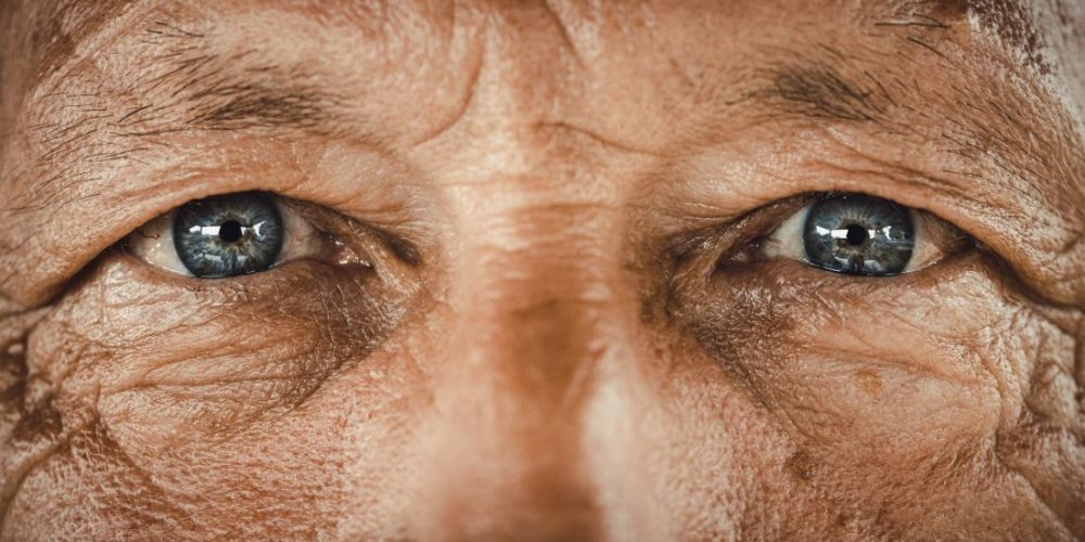 Could the eyes predict cardiovascular risk?