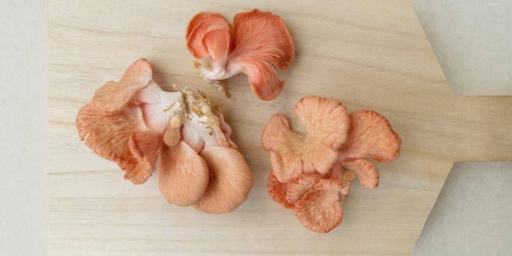 Does eating mushrooms protect brain health?
