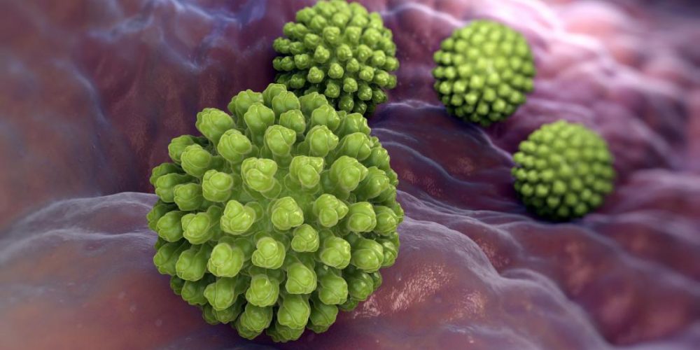 Gut microbiota may &#8216;prevent and cure&#8217; rotavirus