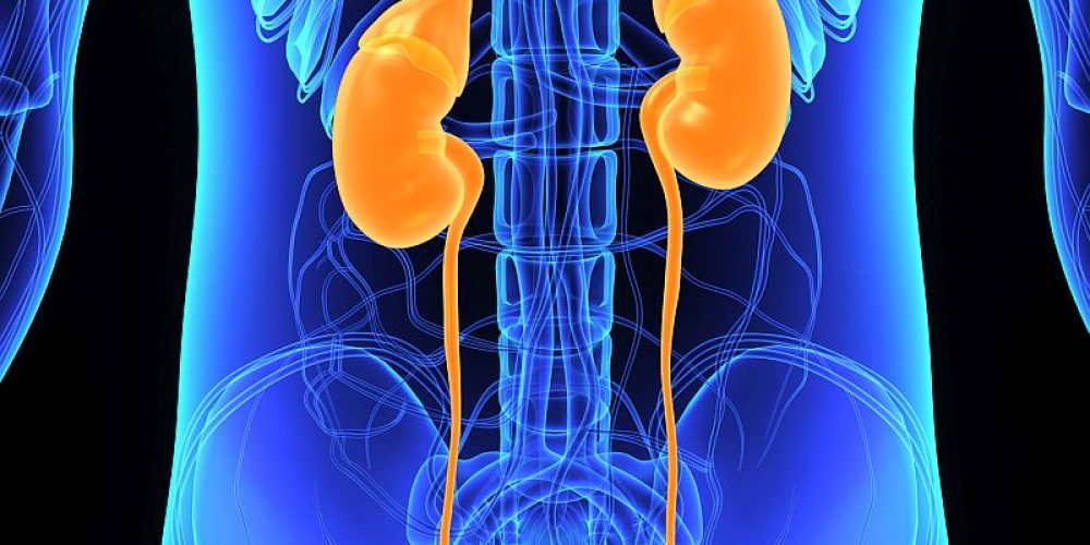 Heart Disease May Up Risk of Kidney Failure