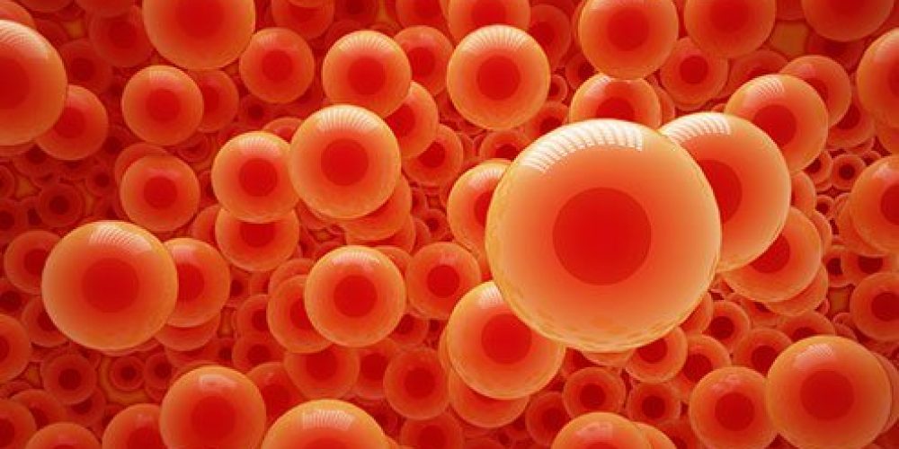 Hemoglobin vs. Hematocrit