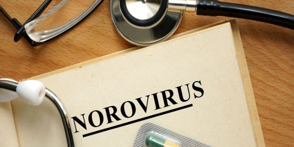 How to Fight Norovirus, the &#8216;Cruise Ship&#8217; Germ