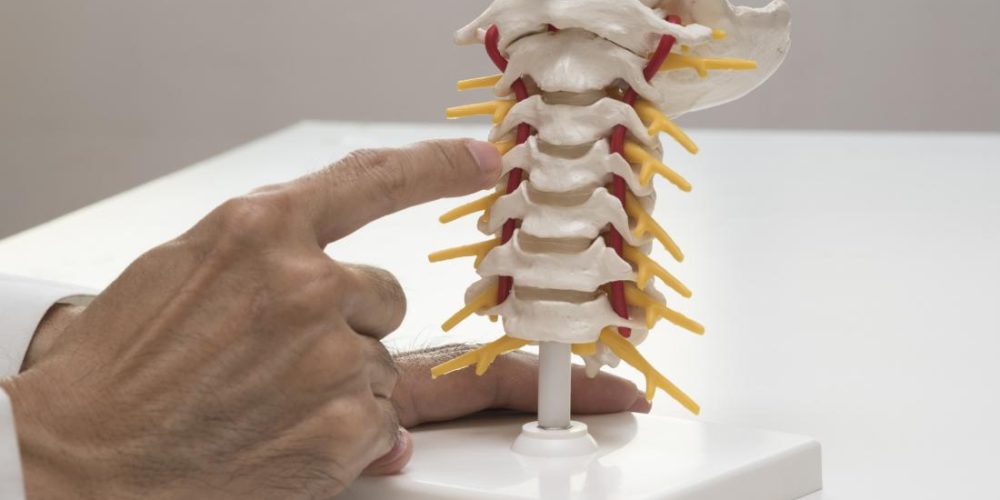 Implants &#8216;made of your own cells&#8217; could end back pain
