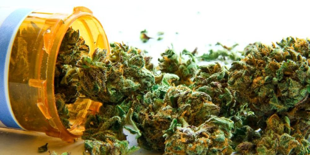 Legalizing Medical Pot Won&#8217;t Ease Opioid Crisis: Study